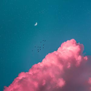 鸡窝  按摩女没上班导航
