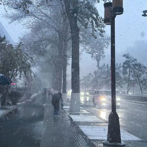 鸡窝  按摩女没上班导航
